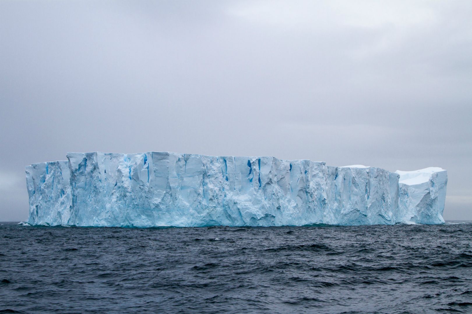 Antarctic Collections