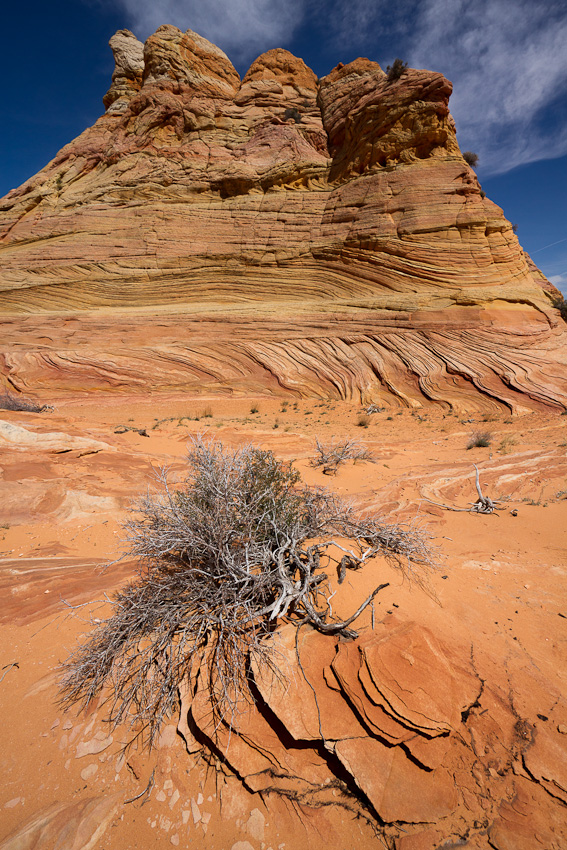 110417.Coyote Buttes South-144