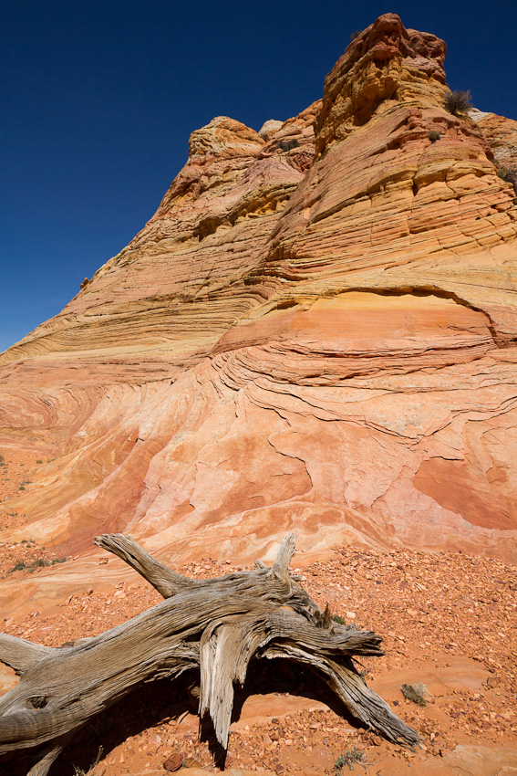 110417.Coyote Buttes South-155