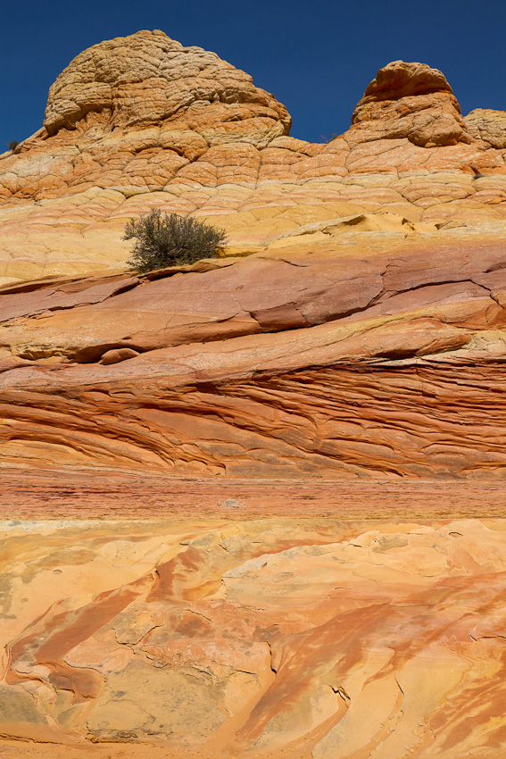 110417.Coyote Buttes South-173