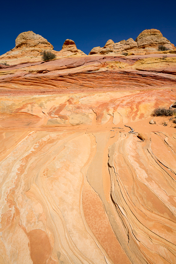 110417.Coyote Buttes South-187