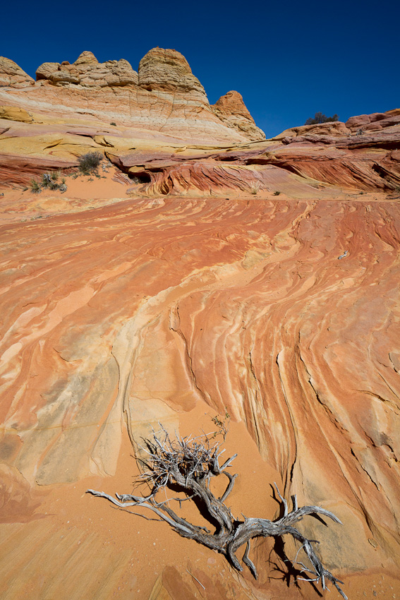 110417.Coyote Buttes South-190-Edit