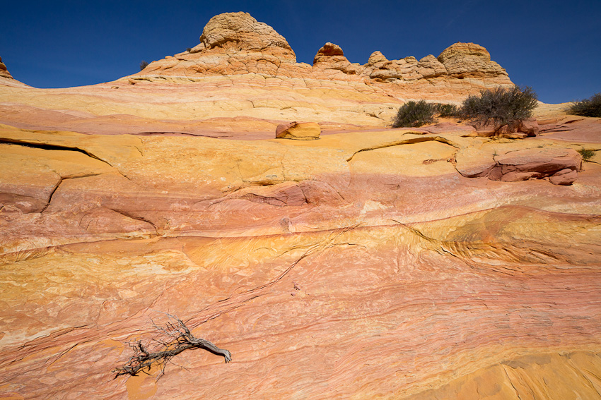 110417.Coyote Buttes South-224