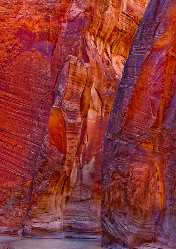 080413.Paria Canyon-191-Edit